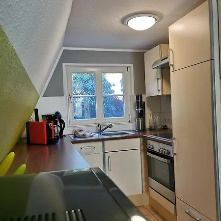 Ferienhaus Erlenwald Mit Pelletofen Und Sauna * 메체데