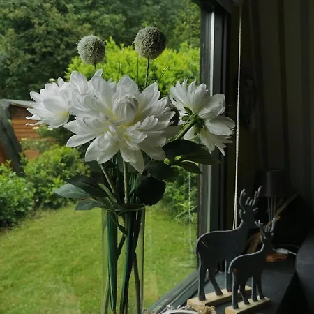Ferienhaus Erlenwald Mit Pelletofen Und Sauna 펜션