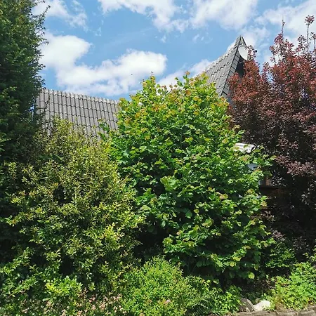 펜션 Ferienhaus Erlenwald Mit Pelletofen Und Sauna *